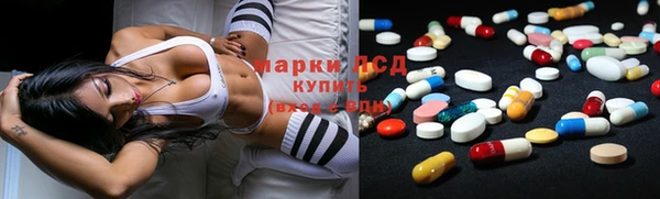 прущие грибы Баксан