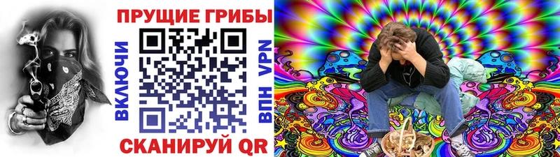 OMG ТОР  Нягань  Галлюциногенные грибы Cubensis  купить  цена 